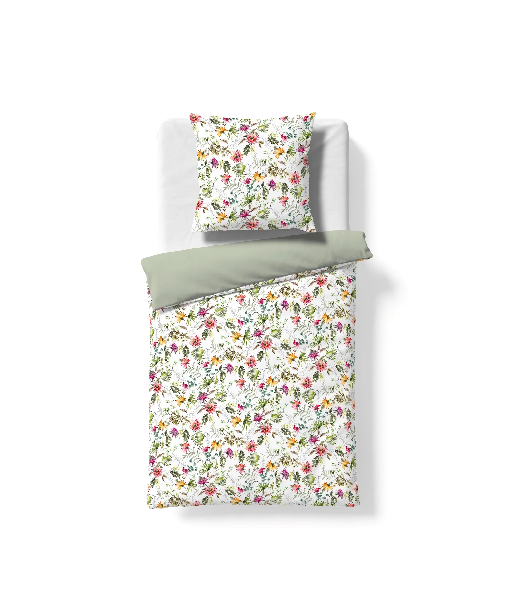 Modern Elegance S Bunt – Freisteller