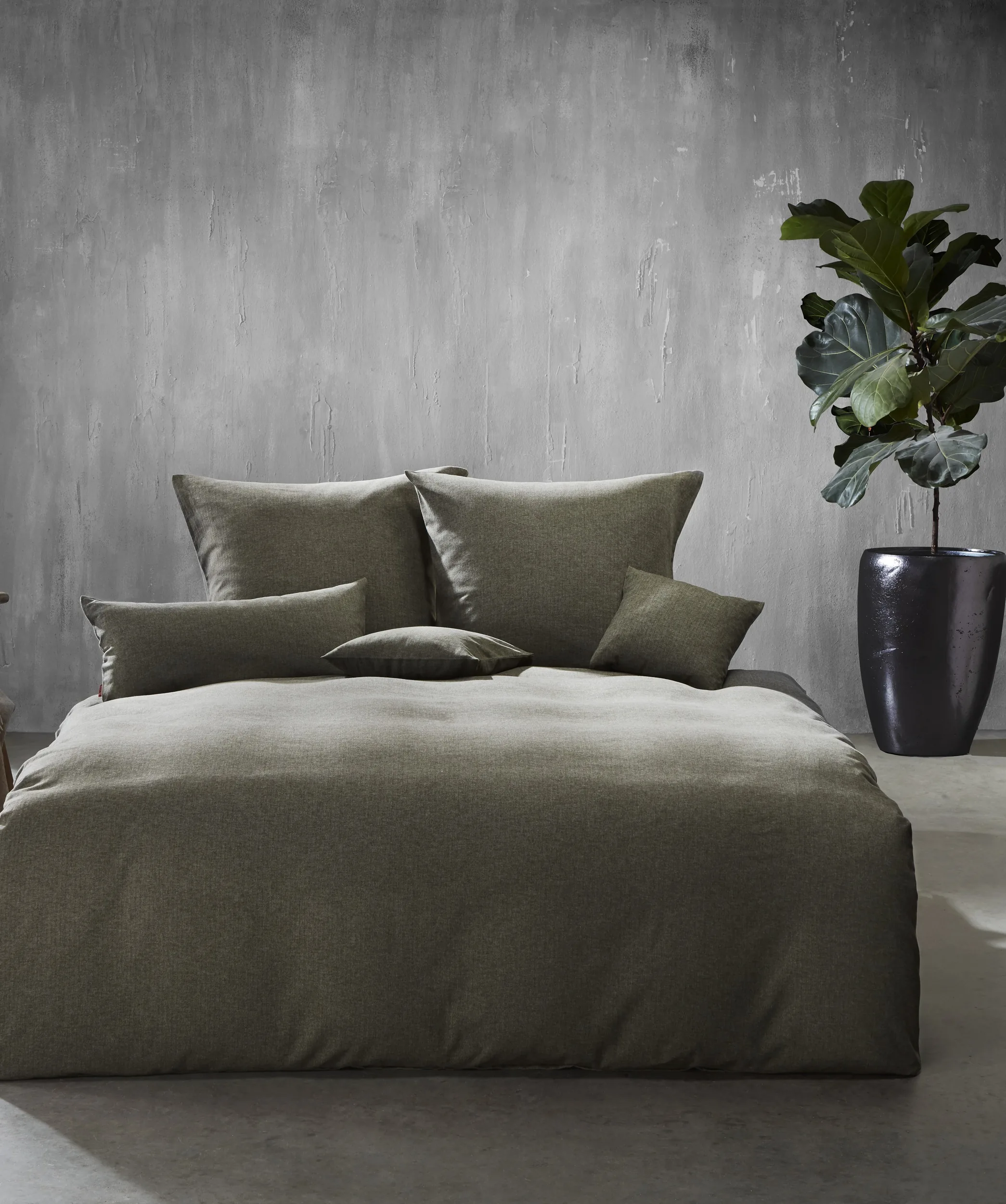Lech Oliv – Ambiente
