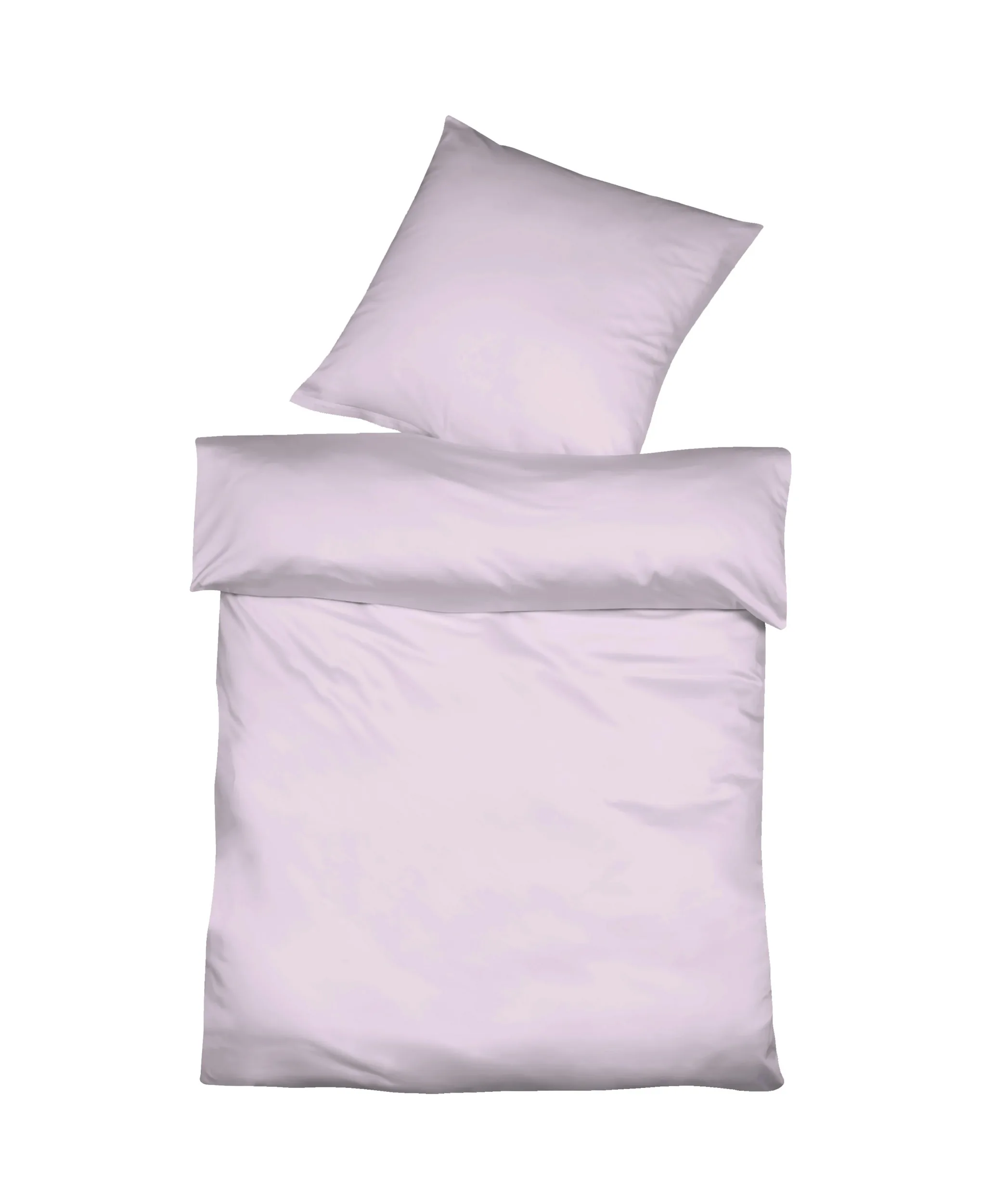 Provence Lavendel – Freisteller