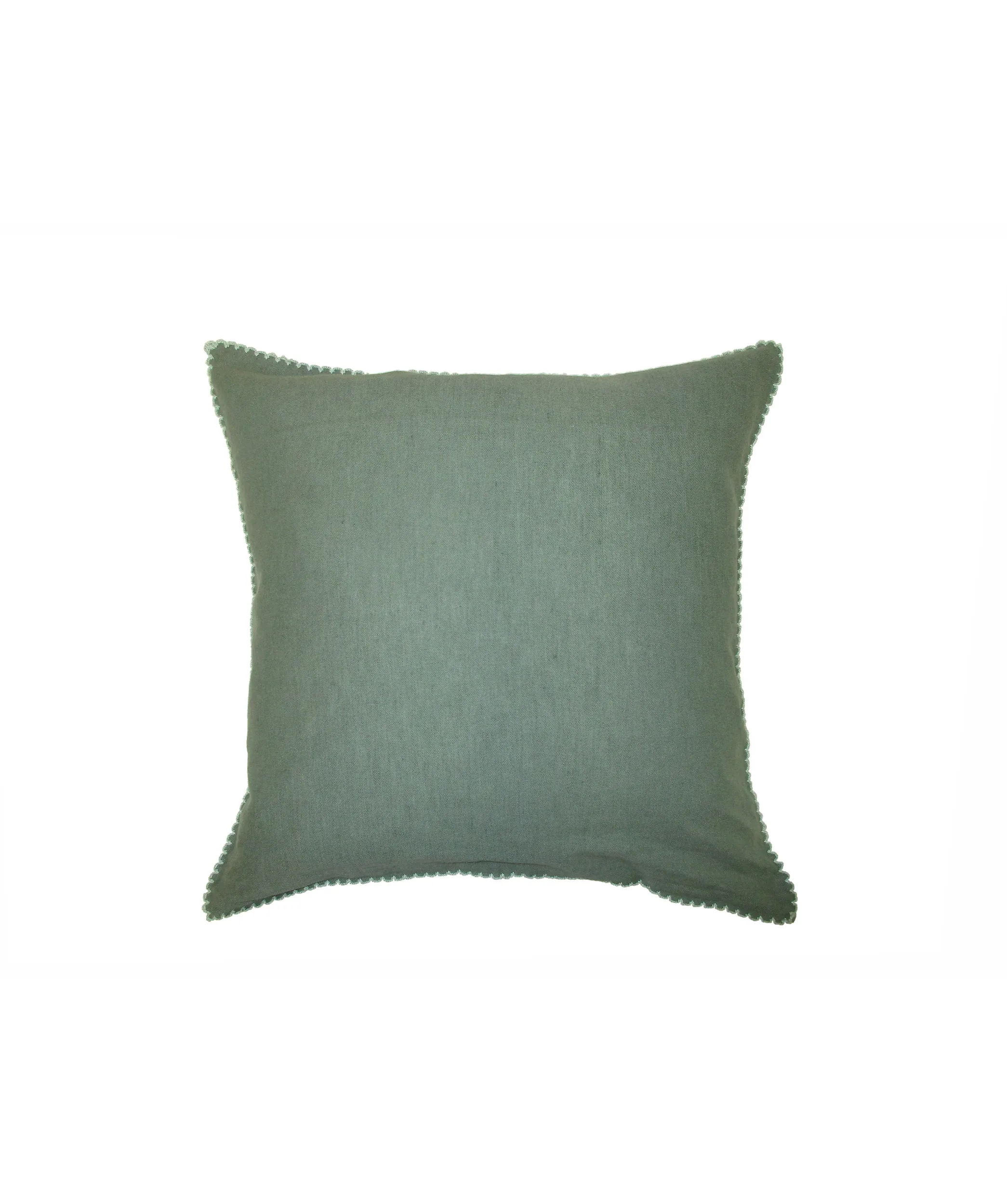 Provence Salbei – Freisteller 1
